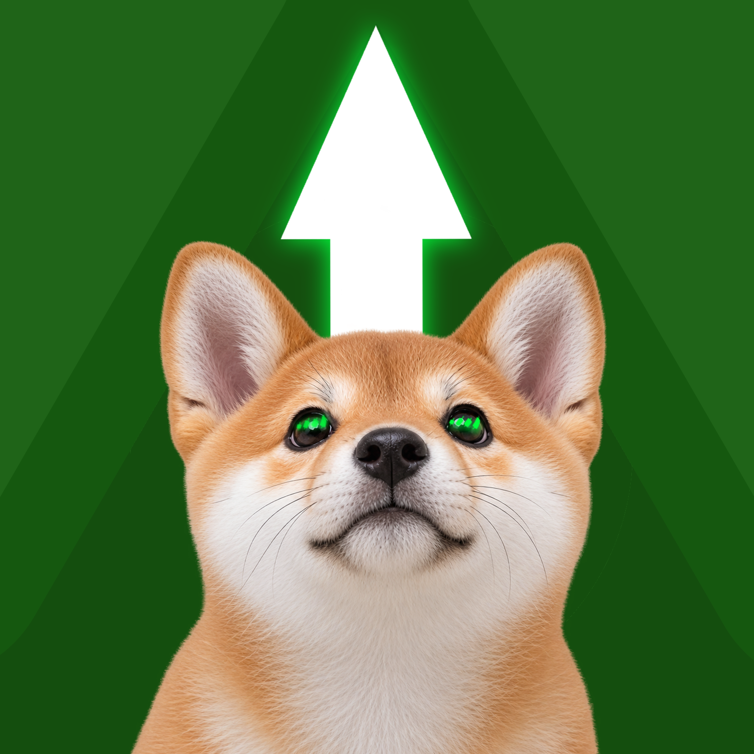 $pUP Shiba Inu beneath a glowing upward arrow